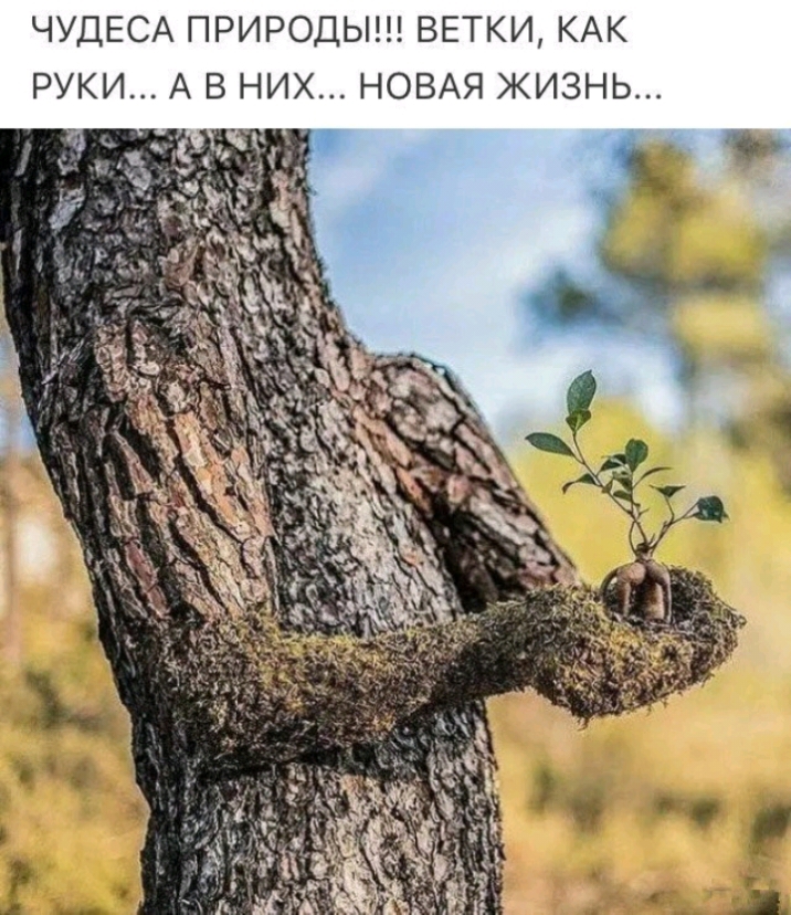 Ь Н 3 И Ж Я А В О Н Х И Н В А И к У Р К А К И К Т Е В Ы Д О Р И Р П А С Е д У Ч