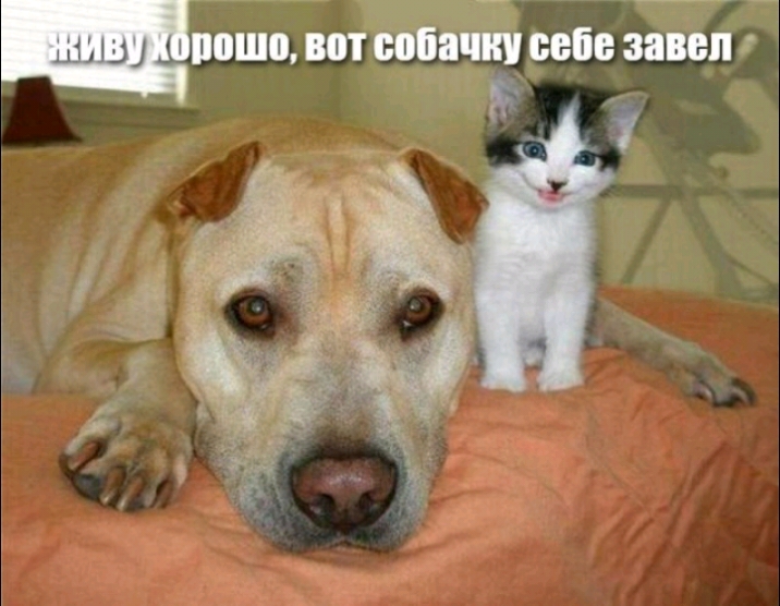 пЕоЁотызЁЁЁГ