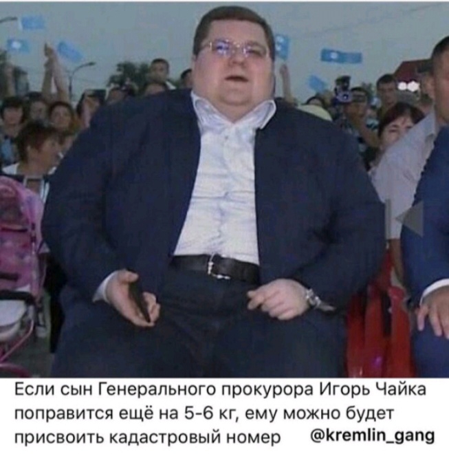 Если сын Генерального прокурора Игорь Чайка поправится ещё на 56 кг ему можно будет присвоить кадастровый номер КГетііп_9ап9
