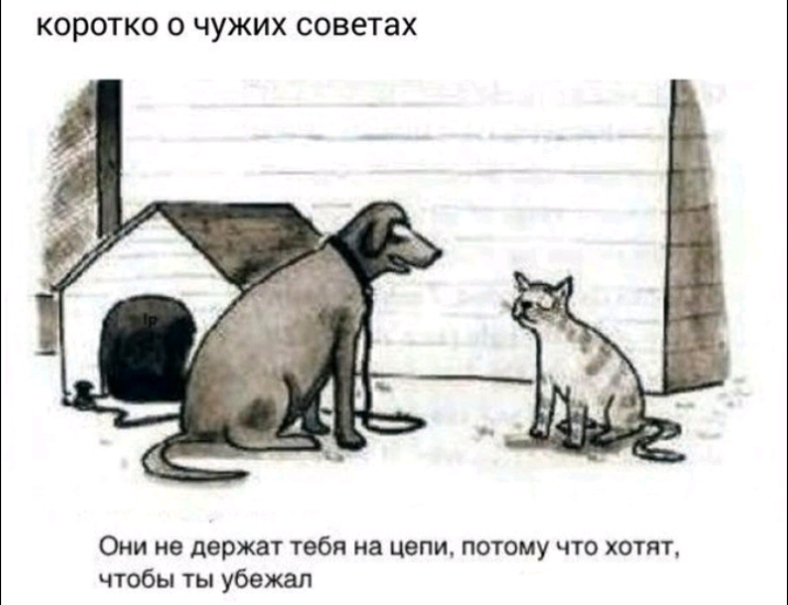 КОРОТКО О ЧУЖИХ советах Они не держат тебя на цепи потому что хотят чтобы ты убежал