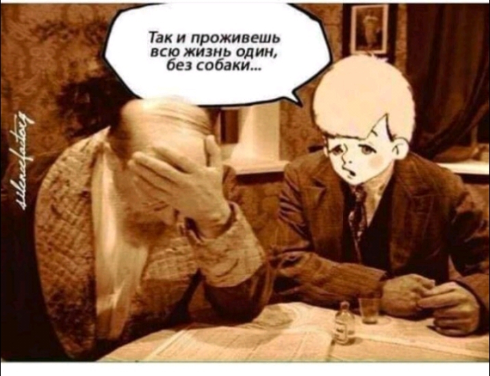 Так и проживвшь всю жизнь один бы обаки