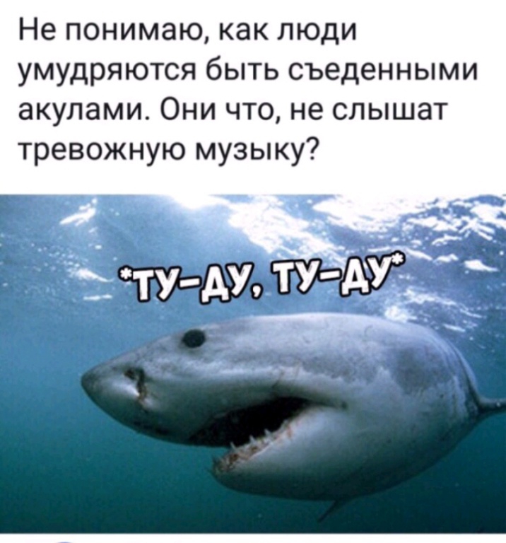 Не понимаю как люди умудряются быть съеденными акулами Они что не слышат тревожную музыку