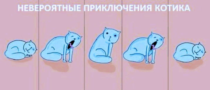 МЕБЕРОШННЕ ПРИКЛЮЧЕНИЯ КЫГИКА