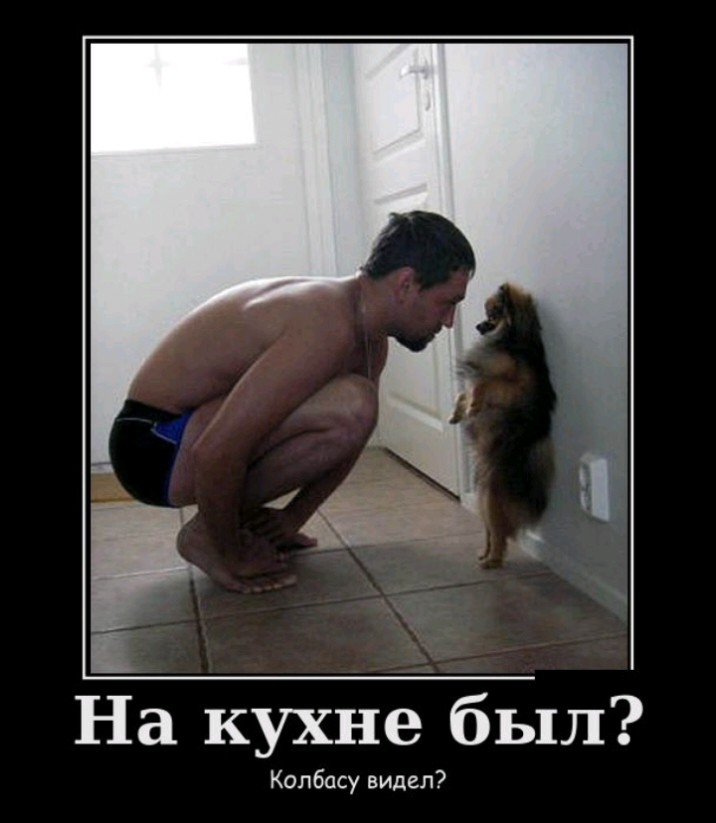 На кухне был Копбасу видел