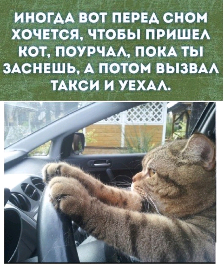 ИНОГАА ВОТ ПЕРЕА СНОМ ХОЧЕТСЯ ЧТОБЫ ПРИШЕА КОТ ПОУРЧАА ПОКА ТЫ ЗАСНЕШЬ А ПОТОМ ВЫЗВАА ТАКСИ И УЕХАА оооо о О