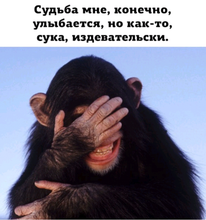Судьба мне конечно улыбается но как то сука издевательски