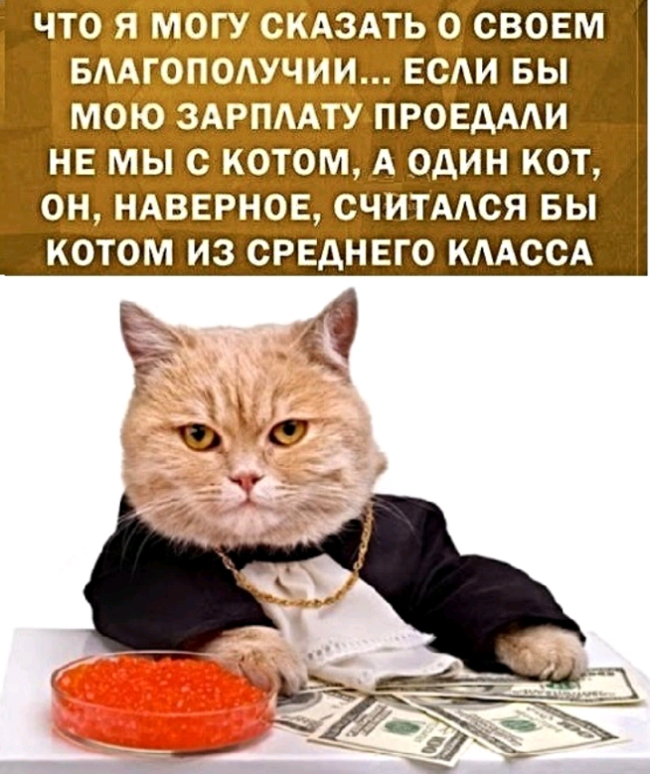 ААТУШРОЕдААИ том А один кот