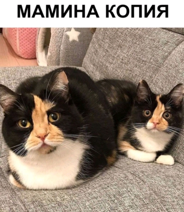 МАМИНА КОПИЯ
