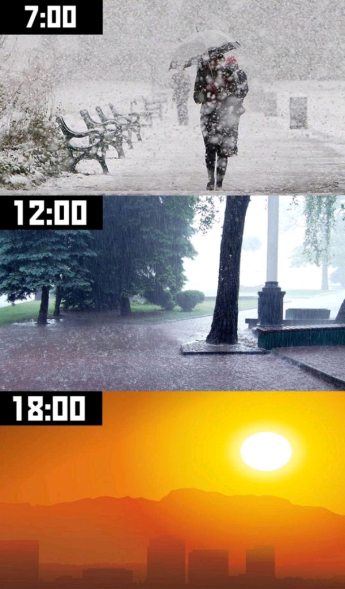 7ПП