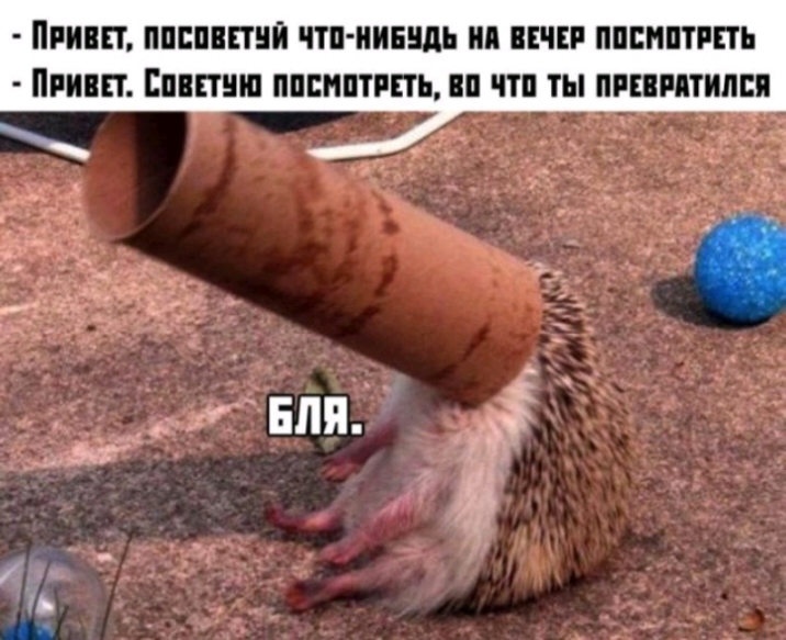 ПРИВЕТ ППШЕШЙ ЧТП ПИЕЦЬ ПЧ ППЕНПТППЬ ППП БПППШП ППВНШРПЪ ПП ТЫ ПРЕПМПШШ