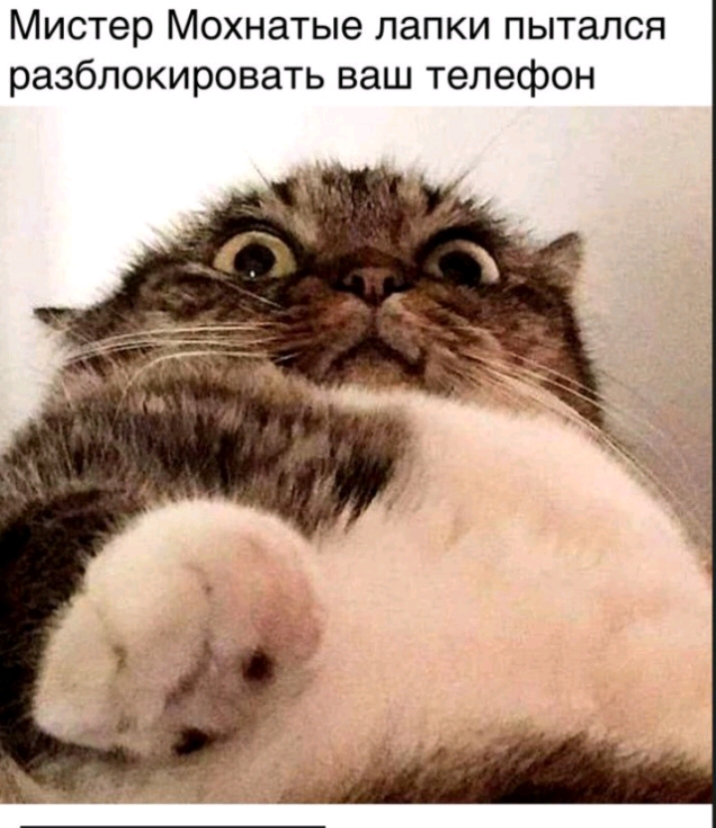 Мистер Мохнатые лапки ПЫТЭЛСЯ разблокировать ваш телефон