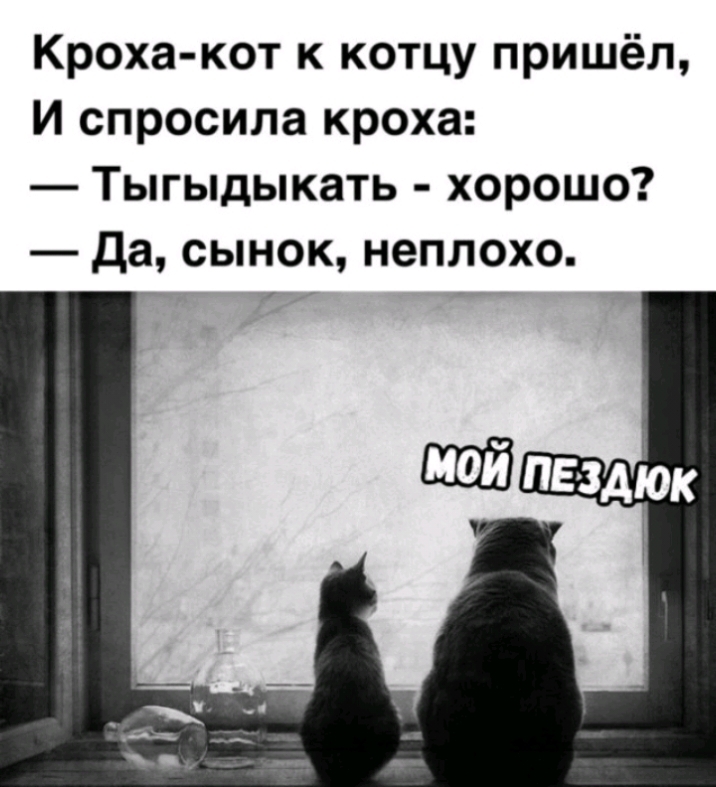 Кроха кот к котцу пришёл И спросила кроха Тыгыдыкать хорошо Да сынок неплохо