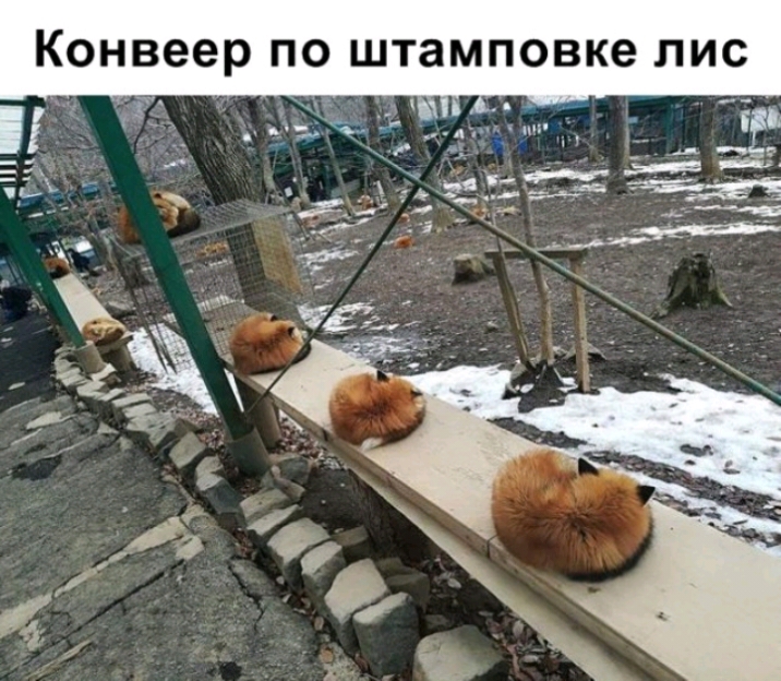 Конвеер ПО штамповке ЛИС _