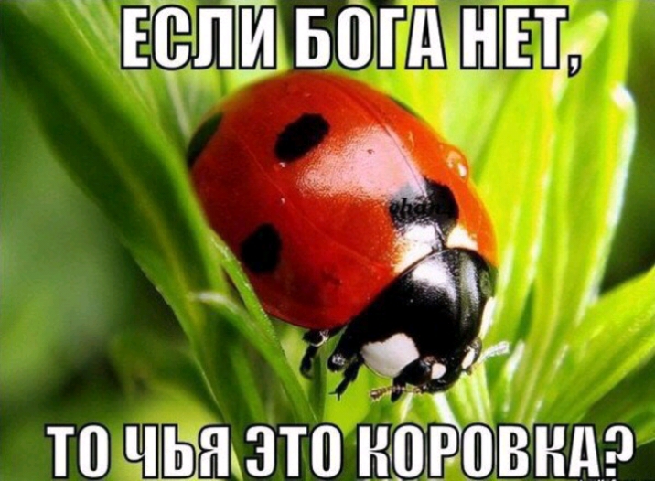ЕЪ1111ШБ1ШьнЕТ А _ Ё т 1 то ча_зто нёціЁОВндэ