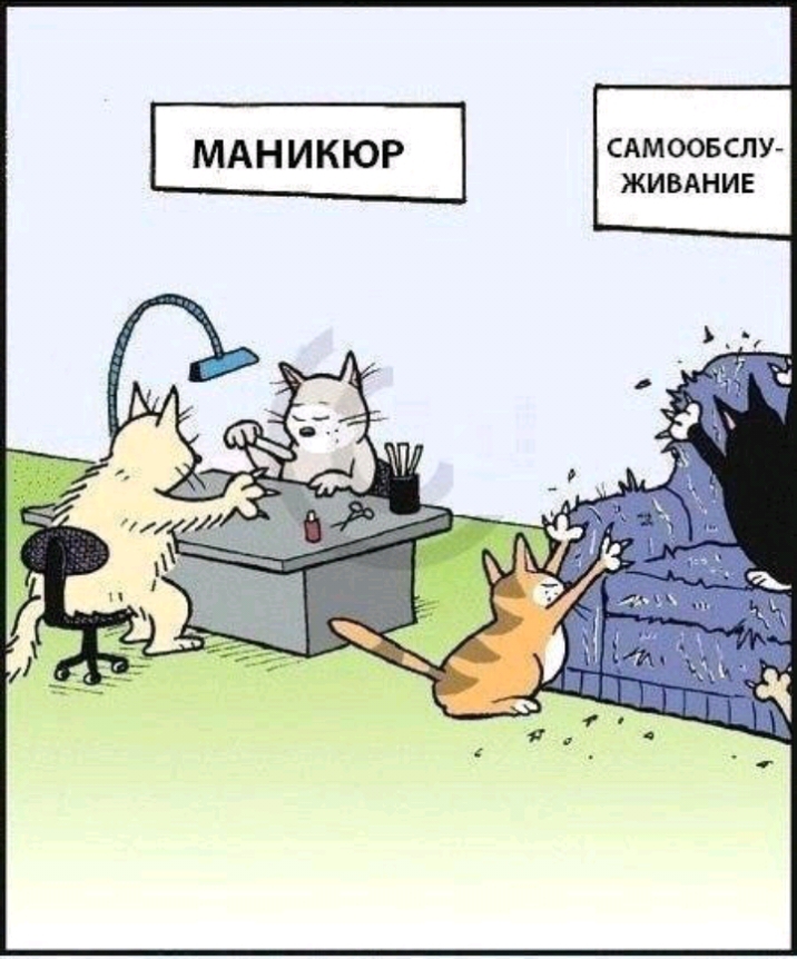 САМООБСЛУ ЖИВАНИЕ