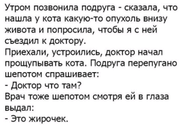 Утром позвонила подруга сказала что нашла у кота какую то опухоль внизу живота и попросила чтобы я с ней съездил к доктору Приехали устроились доктор начал прощупывать кота Подруга перепугано шепотом спрашивает Доктор что там Врач тоже шепотом смотря ей в глаза выдал Это жирочек