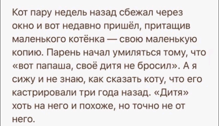 Кот пару недель назад сбежал через окно и вот недавно пришёл притащив маленького котёнка свою маленькую копию Парень начал умиляться тому что вот папаша своё дитя не бросил А я сижу и не знаю как сказать коту что его кастрировали три года назад дитя хоть на него и похоже но точно не от него