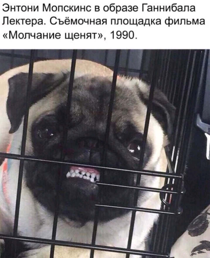 Энтони Мопскинс в образе Ганнибала Лектера Съёмочная площадка фильма Молчание щенят 1990