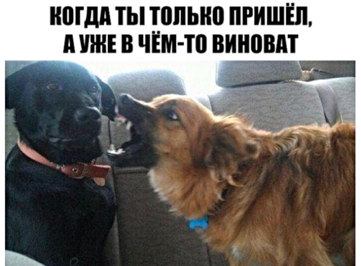 МДА ТЫ ПШЫЮ ПРИШЕЛ А И В чём то ВИНПВМ