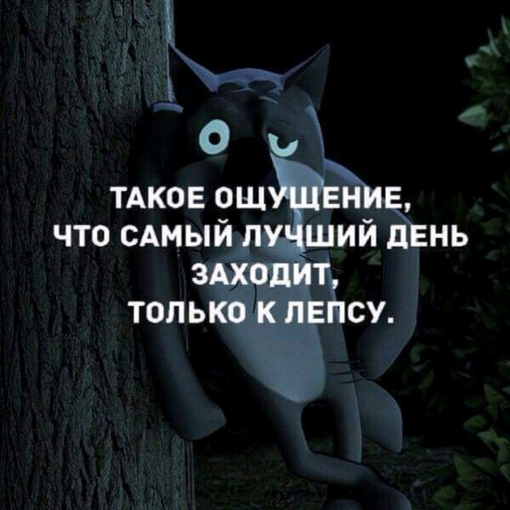 Самый лучший день в году. Такое ощущение что самый лучший день заходит только к Лепсу. Самый лучший день захо. Самый лучший день заходил только к Лепсу. Такое ощущение что самый лучший день.