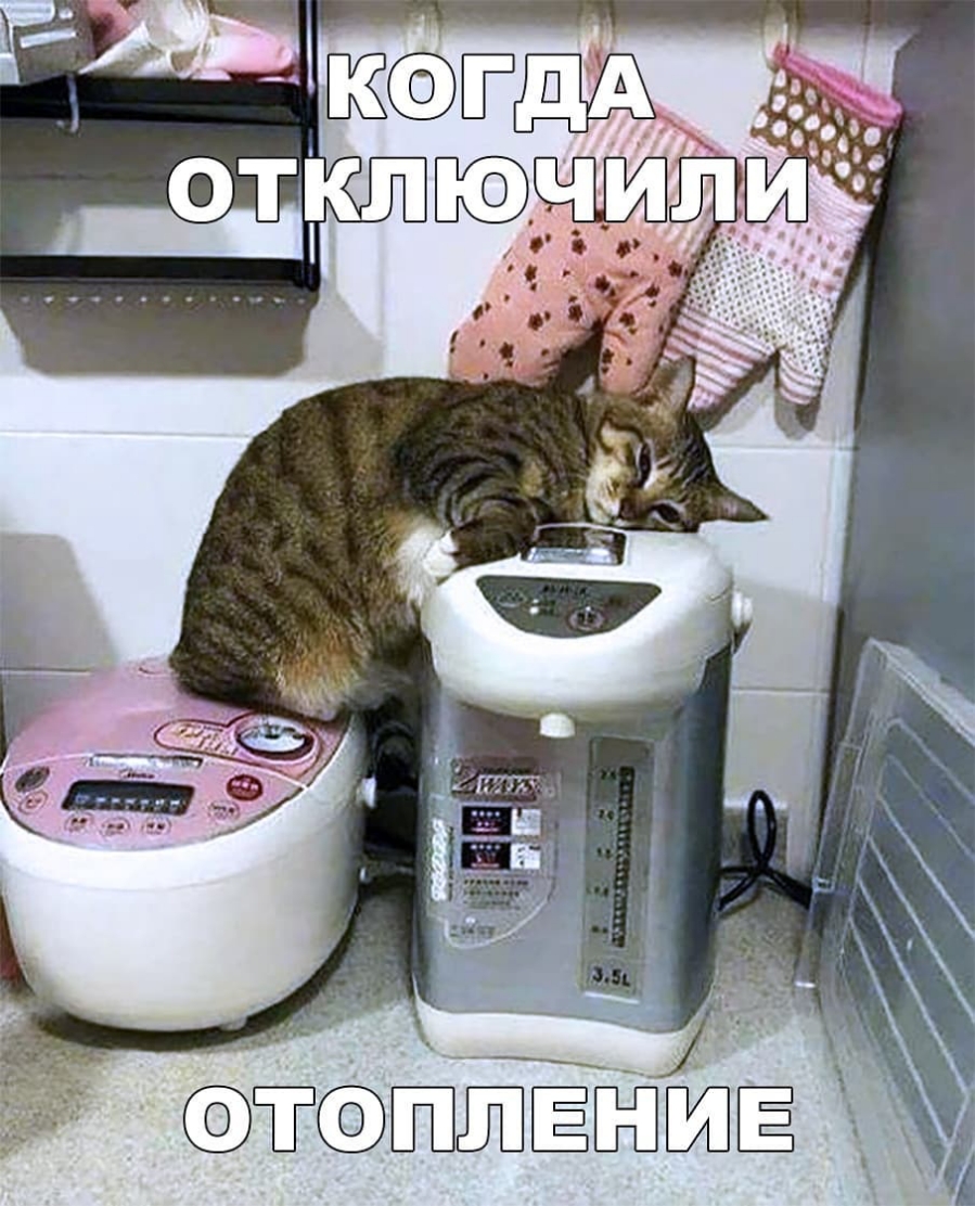 Включи выключи котов. Отключили отопление. Отопление прикол. Отключили отопление прикол. Приколы про отопление в квартире.