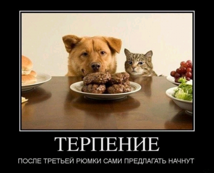 ТЕРПЕНИЕ ПОСЛЕ ТРЕТЬЕИ РЮМКИ САМИ ПРЕДЛАГАТЬ НАЧНУТ