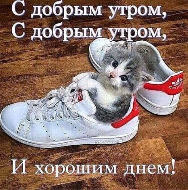 С добрым утром ом И хорошим днеМ