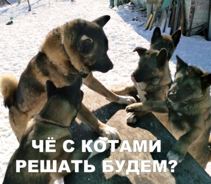 _ РЕШАТЬ д __ _