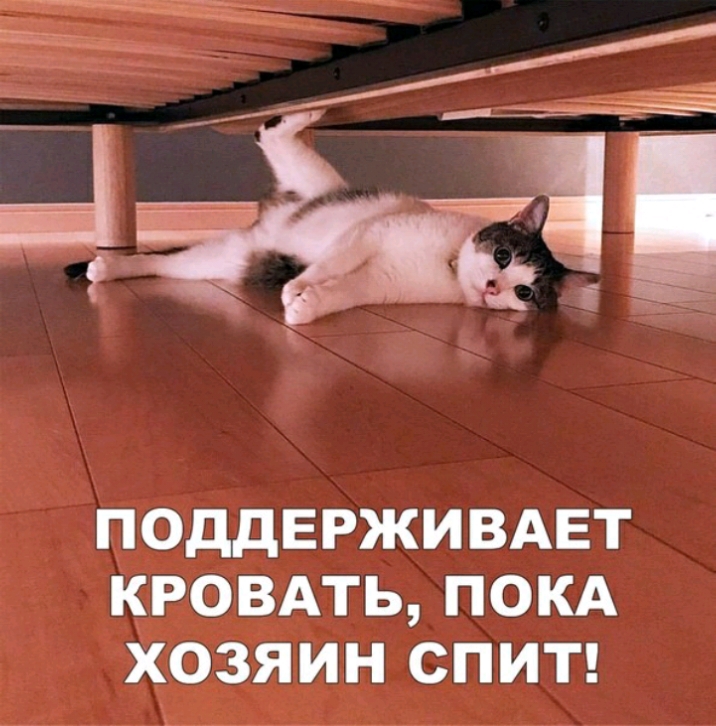 ПОДДЕРЖИ ВАЕТ КРОВАТЬ ПОКА ХОЗЯИН СПИТ