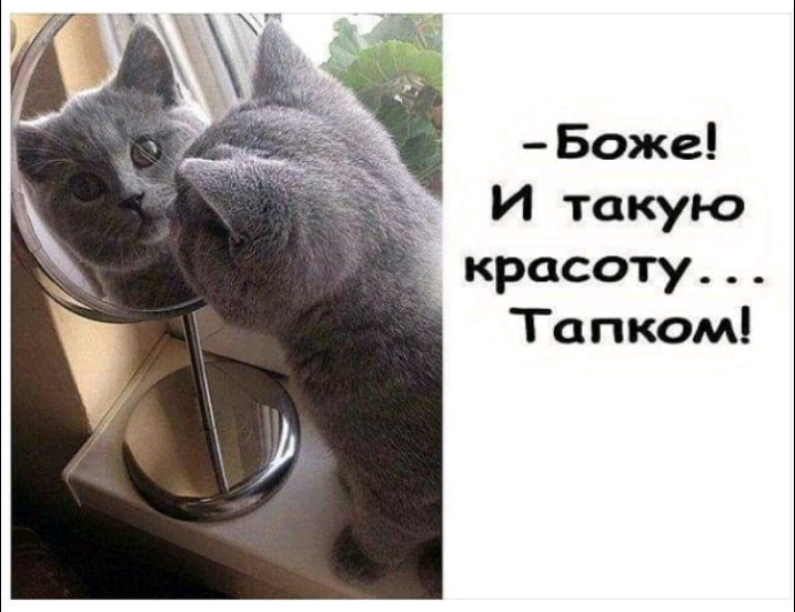 Боже И такую красоту Тапком