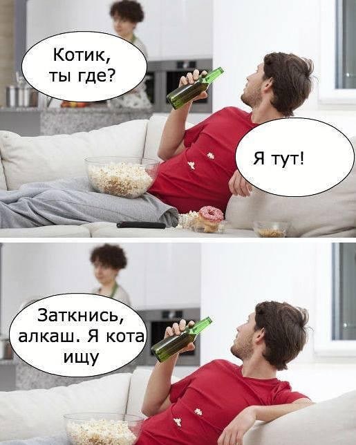 Котик ты где