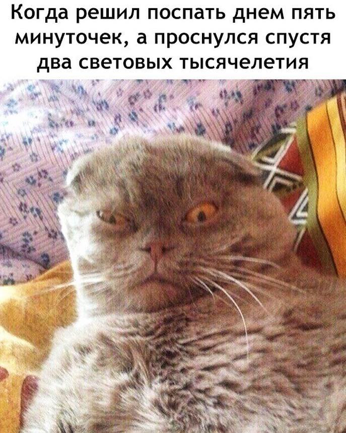Когда решил поспать днем пять минуточек а проснулся спустя два световых тысячелетия