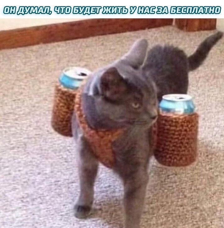 УЕЁЕЩ