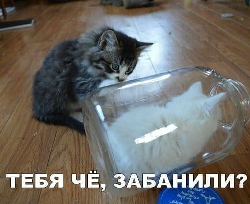 ТЕБЯ ЧЁ 3 БАНИПИ