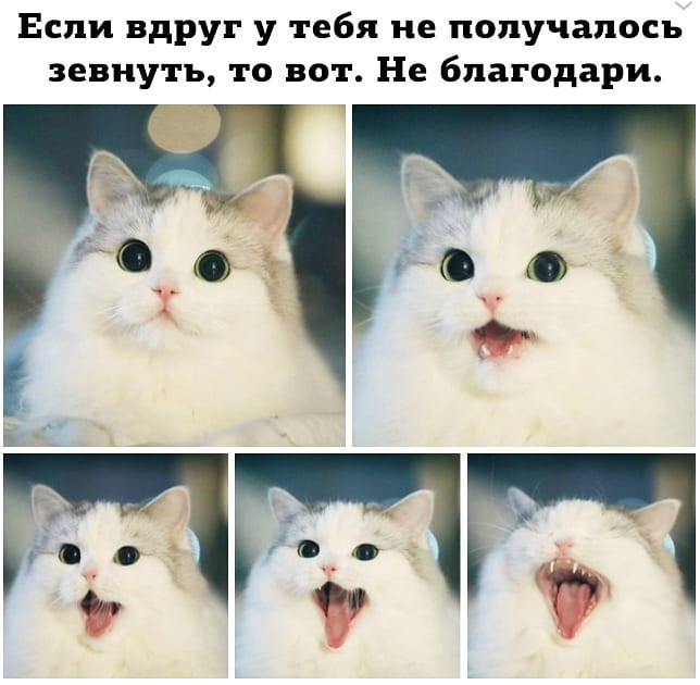 Если вдруг у тебя не получалось зевнутъ то вот Не бпагодари