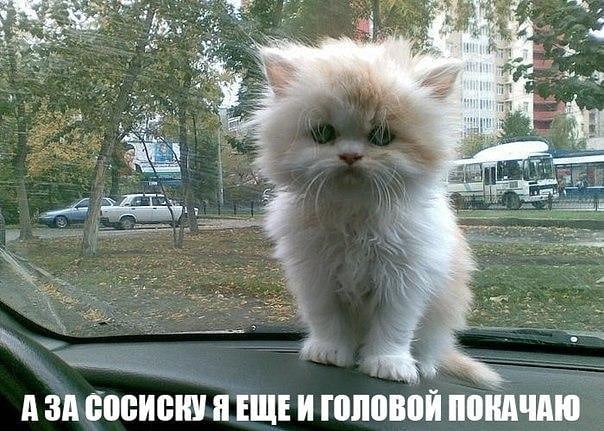 Ё А ЗА ЁПЁИЁШ ЕЩЕ И ШШ почт