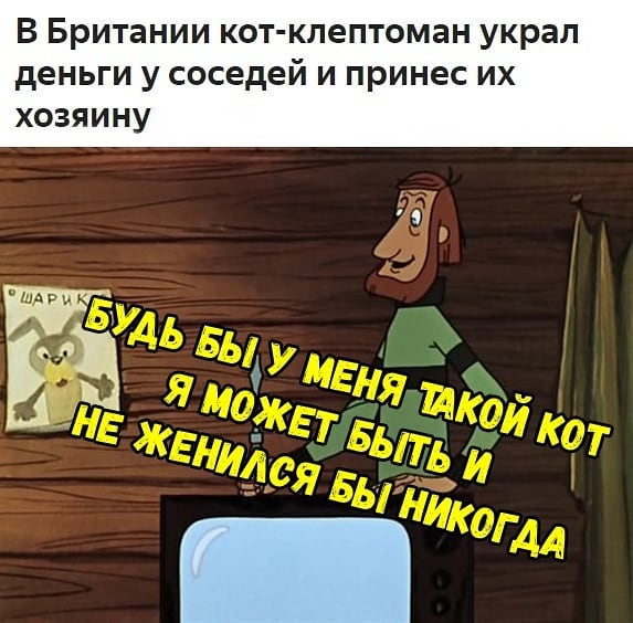 В Британии кот клептоман украл деньги у соседей и принес их ХОЗЯИНУ