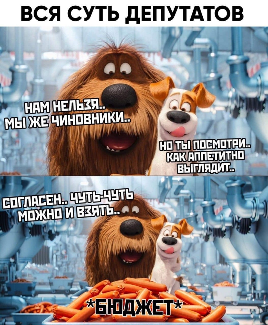 ВСЯ СУТЬ дЕПУТАТОВ