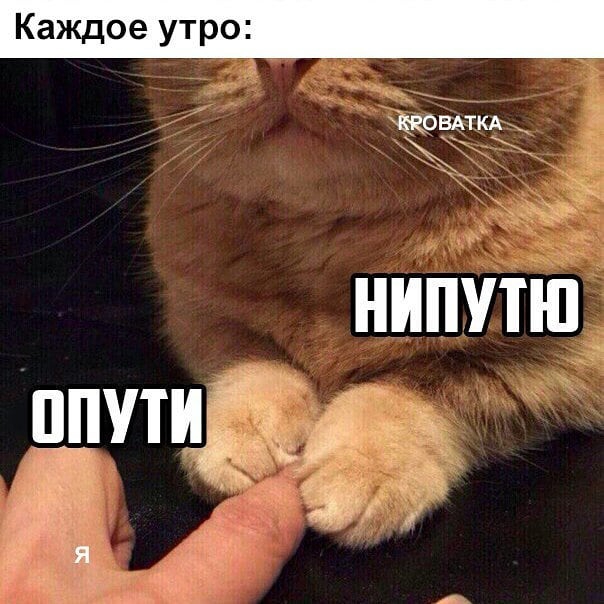 КЕОВАТКА __ НИПУТЮ ЦПУШЁЁ за Я