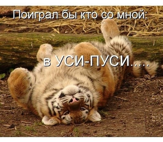 Поиграл бы кто ь лнсгй