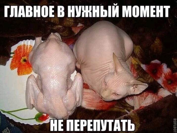 ШШШ В ЮЖНЫЙ МВМШТ