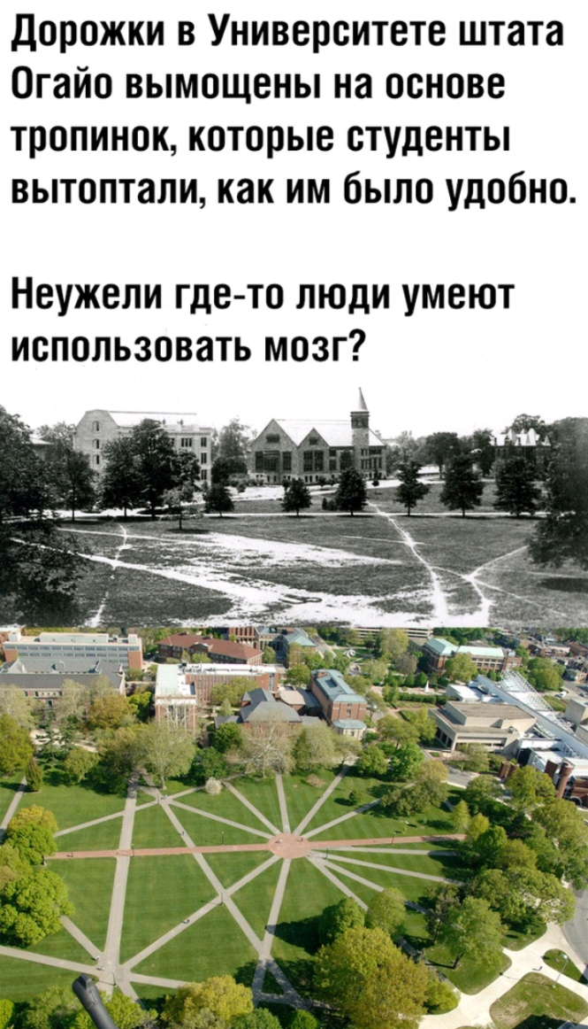 дорожки в Университете штата Огайо вымощены на основе тропинок которые студенты вытоптали как им было удобно Неужели где то люди умеют использовать мозг