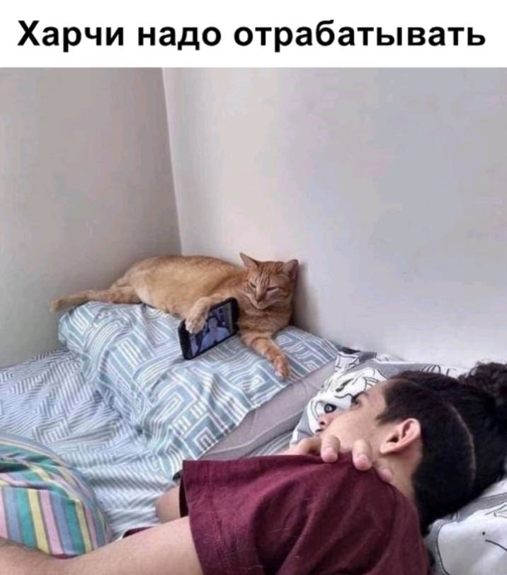 Харчи надо отрабатывать