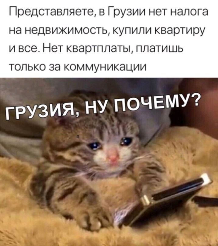 Представляете в Грузии нет налога на недвижимость купили квартиру и все Нет квартплаты платишь ТОЛЬКО ЗЭ КОММУНИКЭЦИИ