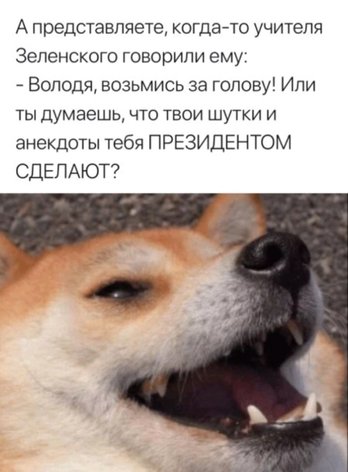 А представляете когдато учителя Зеленского говорили ему Володя возьмись за голову Или ты думаешь что твои шутки и анекдоты тебя ПРЕЗИДЕНТОМ СДЕЛАЮТ