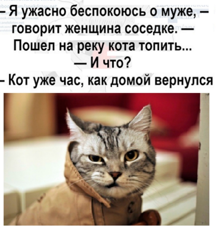 Я ужасно беспокоюсь о муже говорит женщина соседке Пошел на реку кота топить И что Кот уже час как домой вернулся и