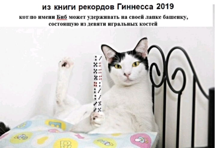 из книги рекордов Гиннесса 2019 но по нтв Био может нерж ить в своей ппкс пшенку гопояшую дпни игрпьпцх копей