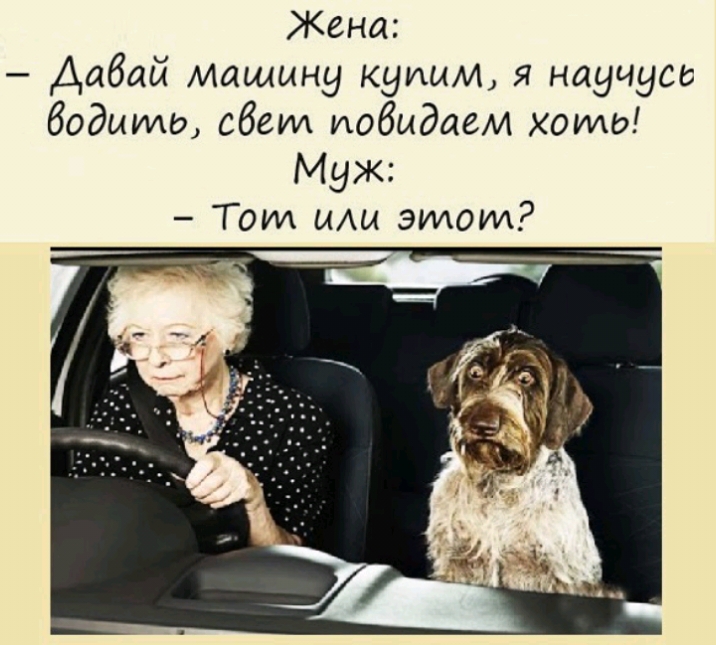 Жена Аабай машину купим я научусс воды ебет иобидаем ХОИАЫ Муж Тот мы этом