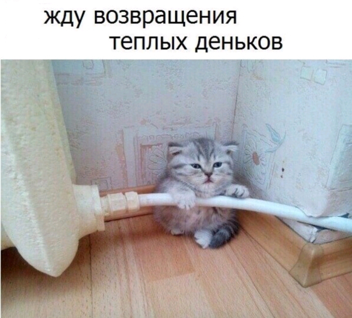 жду возвращения теплых деньков