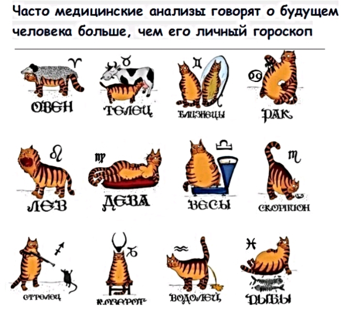 Часто медицинские анализы говорят о будущем человека больше чем его личный гороскоп